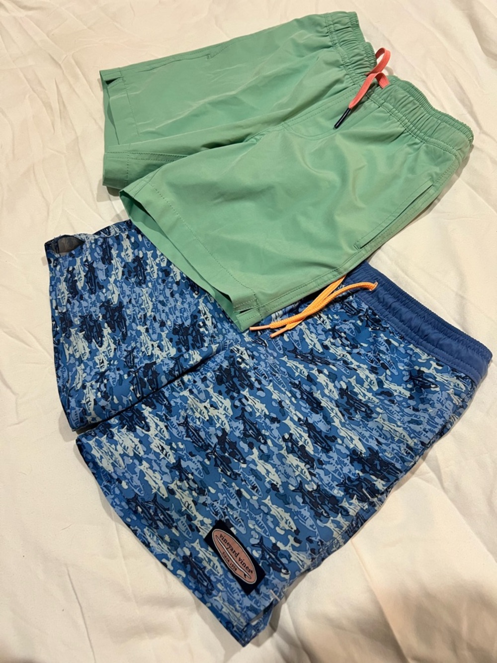 Boys Two-Pack Swim Trunks - Mint Green & Blue